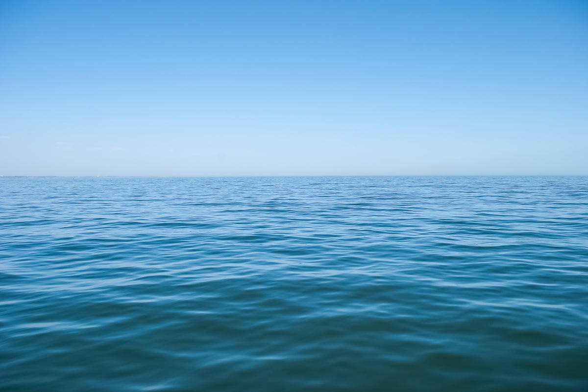 Gentle waves ripple across the vast blue ocean under a cloudless sky. The serene atmosphere evokes a sense of tranquility and endless possibility by the water.