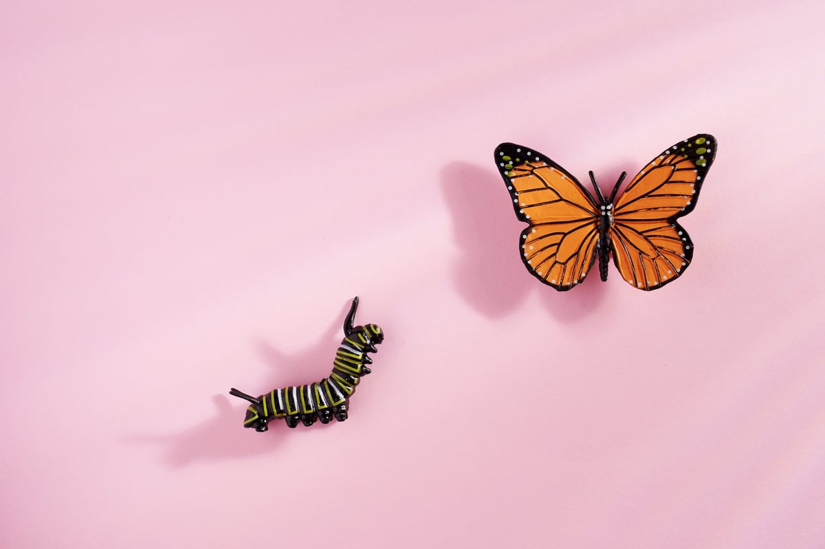Toy caterpillar looking up at a butterfly against a pink background, symbolising transformation and rebirth