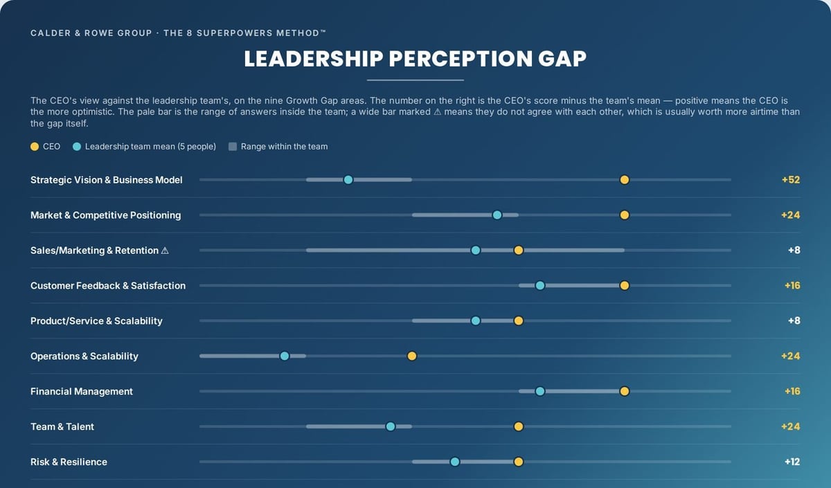 Leadership Perception Gap for a sample company: the CEO's score against the leadership team's average and range across nine areas