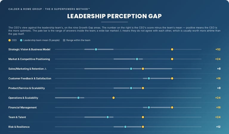 Leadership Perception Gap for a sample company: the CEO's score against the leadership team's average and range across nine areas